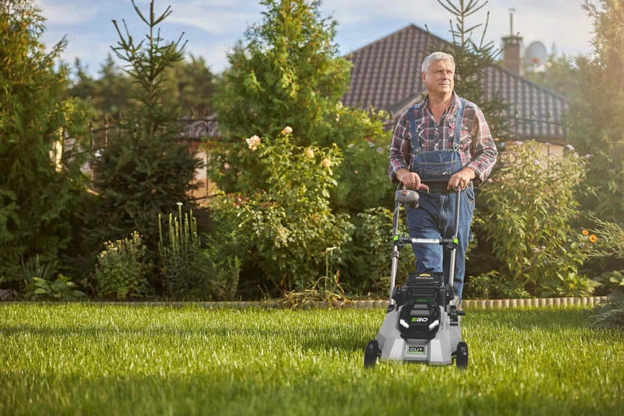small battery powered lawn mower